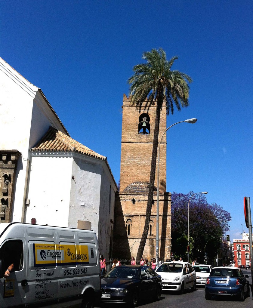 Palmera datilera y la iglesia de Santa Catalina de Sevilla