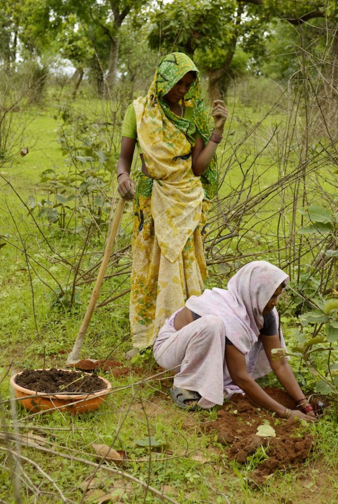 Dos mujeres indias plantando árbol
