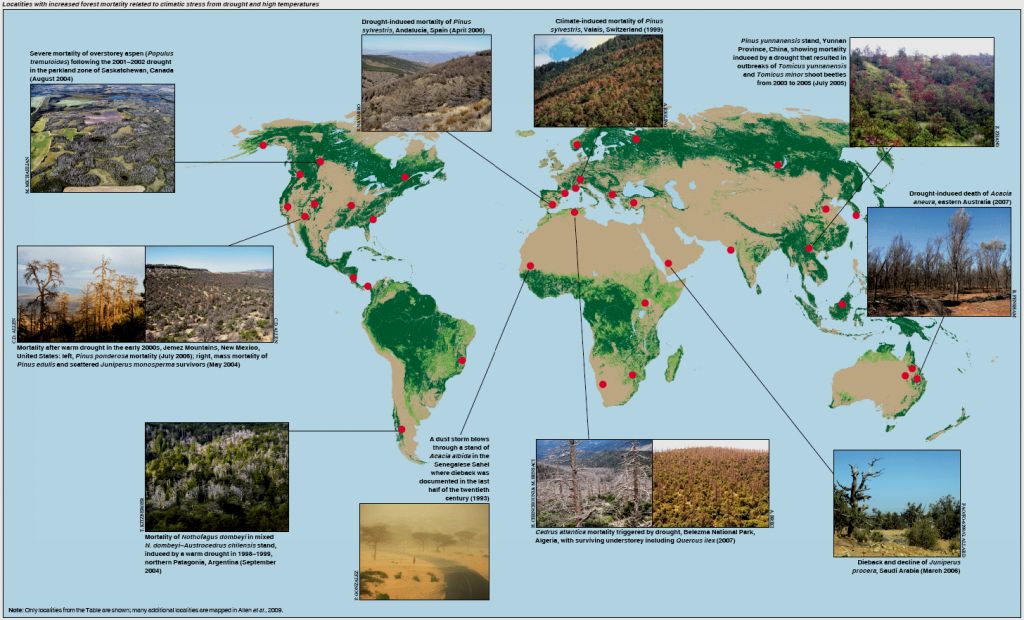 Mapa con algunos bosques que han sufrido mortalidad masiva de árboles (Allen, 2009).