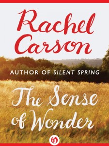 sense_of_wonder_rachel-carson