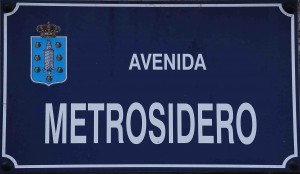 Avenida_metrosidero